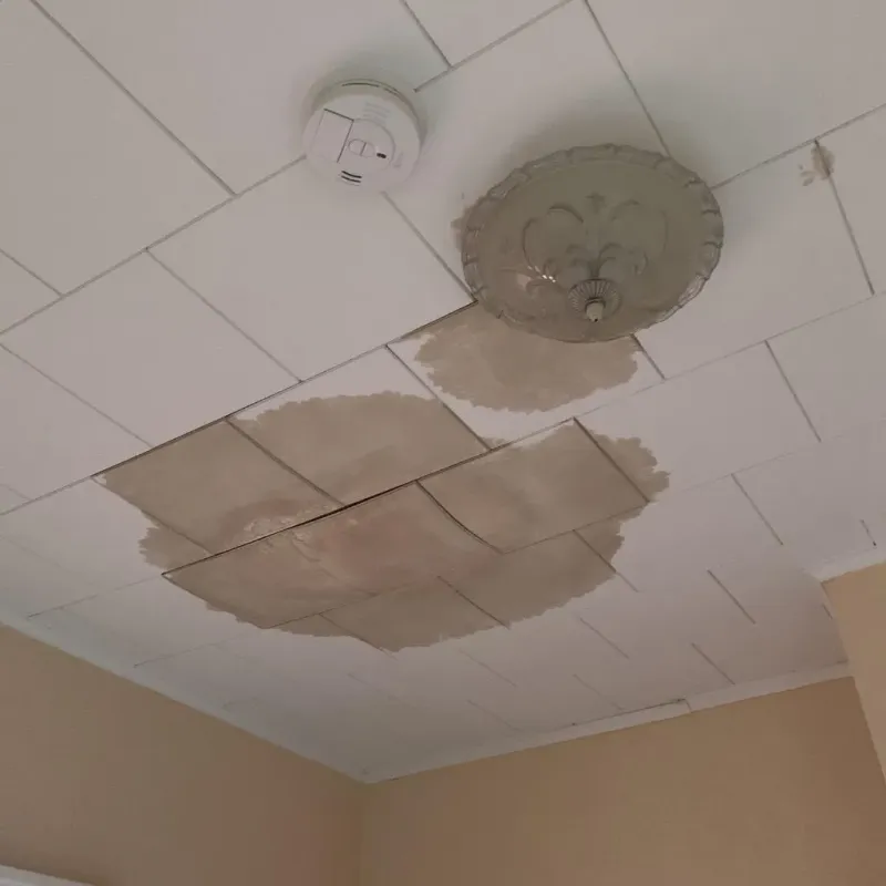 Ceiling Water Damage Repair in Enon, OH