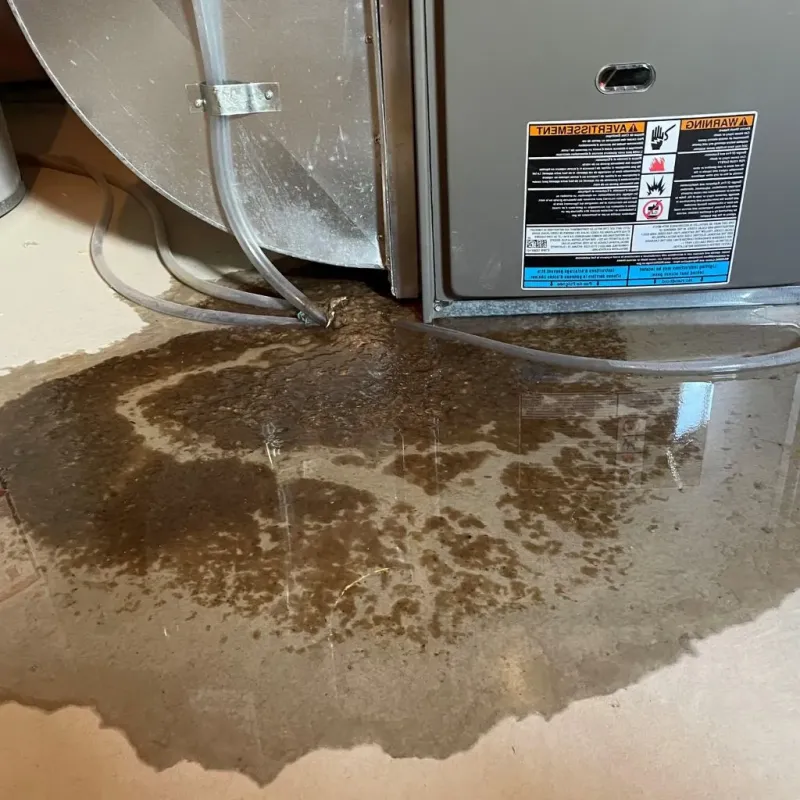 Pipe Burst and Leak Restoration in Enon, OH