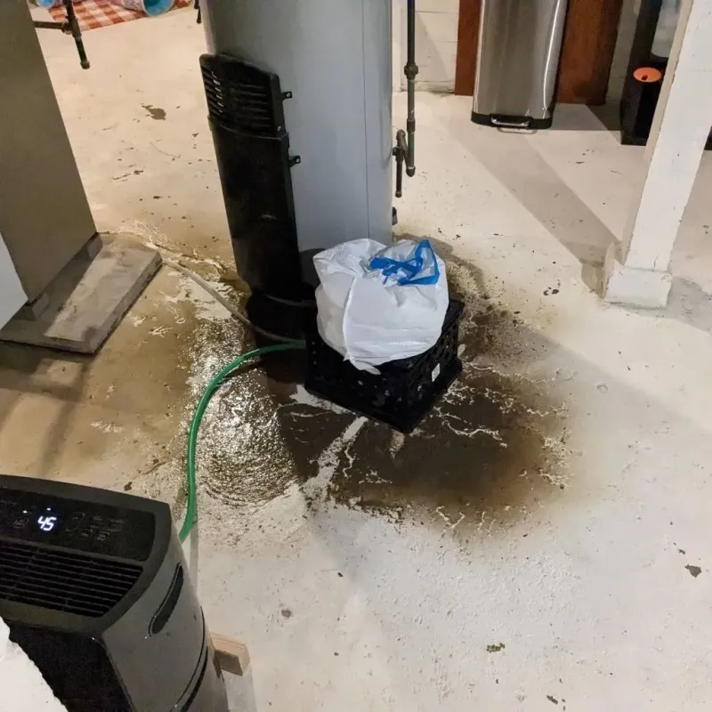 Sewage Backup Cleanup Service in Enon, OH